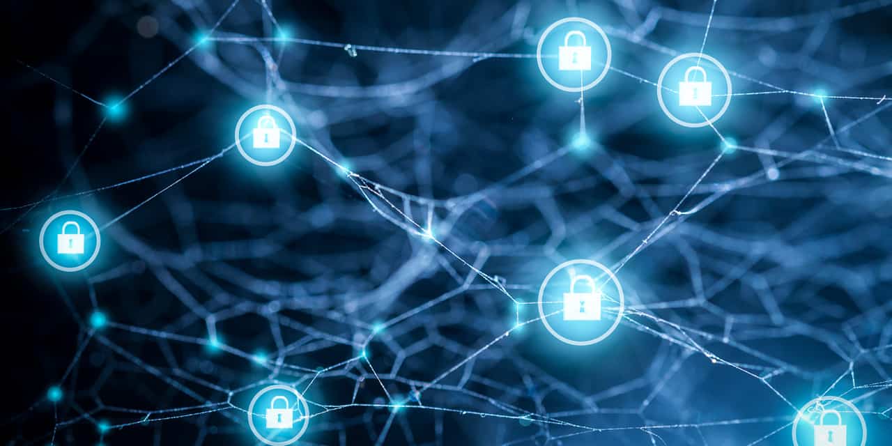 cyber ecosystem